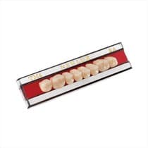 Dente Newlux Posterior Superior - Triunfo