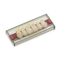Dente Trilux Anterior Superior - VIPI