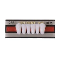 Dente Vipi Dent Anterior Superior B - Vipi