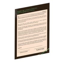 Termo de Consentimento Preenchimento Facial - Dental Speed