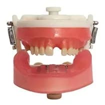 Manequim Implantodontia PD 108