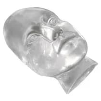 Face Transparente para Treinamento Harmonização Orofacial - Mac Dental