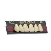 Dente New Dent Anterior Superior