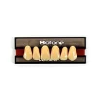 Dente Biotone Anterior Superior