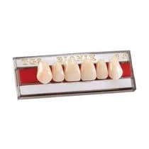Dente Bionix Anterior Superior