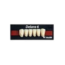 Dente Delara Anterior Inferior