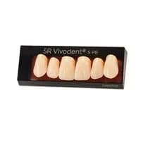 Dente SR Vivodent S PE Anterior Superior