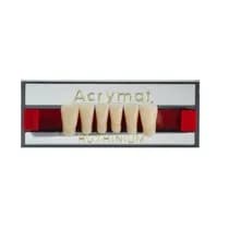 Dente Acrymat Anterior Inferior