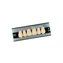 Dente Magister Anterior Superior