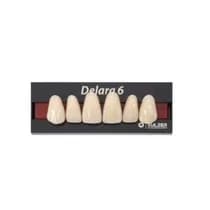 Dente Delara A Anterior Superior - Kulzer
