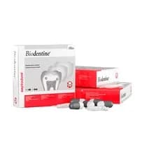 Cimento Endodôntico Biodentine - Septodont