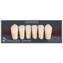 Dente Genios Anterior Inferior