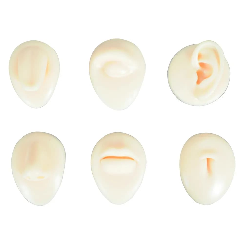 Simulador para Pratica de Inserção de Piercing na Pele Cj 06 Un