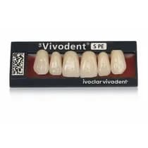 Dente SR Vivodent S PE Anterior Inferior 6