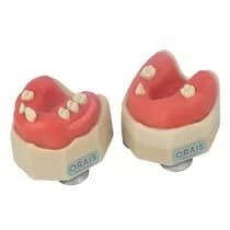 Manequim Cirurgia Completo