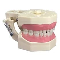Manequim Materiais Dentários 210N