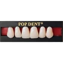 Dente PopDent Superior Anterior - VIPI