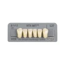 Dente Vita MFT Anterior Inferior - Vita