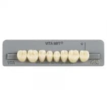 Dente MFT Posterior Inferior - Vita