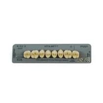 Dente MFT Posterior Superior - Vita