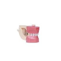 Manequim Odontopediatria Elc
