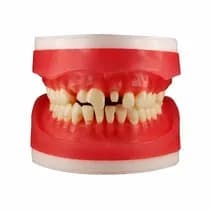 Refil Manequim Materiais Dentários AC100