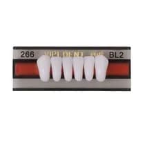Dente Vipi Dent Anterior Superior B - Vipi