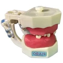 Manequim Cirurgia Articulado
