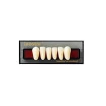 Dente Ivostar A-D Anterior Inferior I11 - Ivoclar