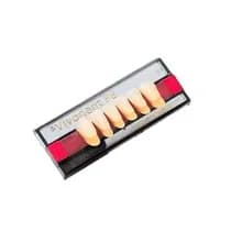 Dente SR Vivodent PE Anterior Inferior