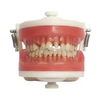 Manequim Top Materiais PD101 - Pronew