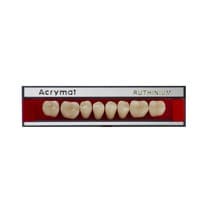Dente Acrymat Posterior Inferior - Ruthinium