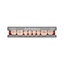Dente ArtiPlus Posterior Inferior - Dentsply
