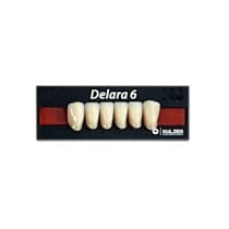 Dente Delara Anterior Inferior - Kulzer