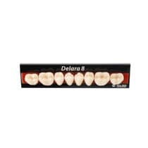 Dente Delara Posterior Inferior - Kulzer