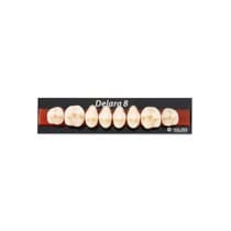 Dente Delara Posterior Superior - Kulzer