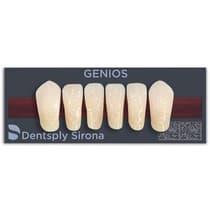 Dente Genios Anterior Inferior - Dentsply Sirona