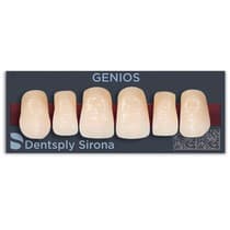 Dente Genios Anterior Superior - Dentsply Sirona