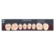 Dente Genios Posterior Superior - Dentsply Sirona