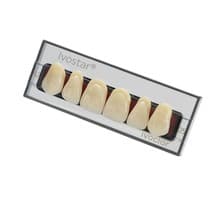 Dente Ivostar A-D Anterior Superior - Ivoclar Vivadent