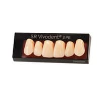 Dente SR Vivodent S PE Anterior Superior - Ivoclar