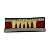 Dente Newlux Anterior Inferior - Triunfo