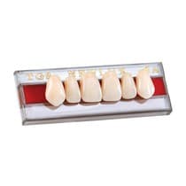Dente Newlux Anterior Superior - Triunfo