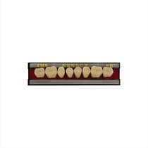 Dente Newlux Posterior Inferior - Triunfo