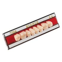 Dente Bionix Posterior Superior - Triunfo