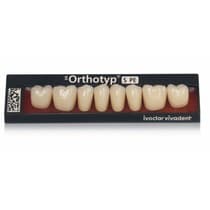 Dente SR Orthotyp S PE Posterior Superior - Ivoclar