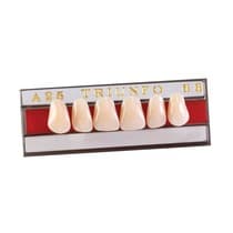 Dente Triunfo Anterior Superior - Triunfo