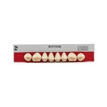 Dente Biotone Posterior/Superior - Dentsply Sirona