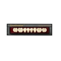 Dente Gnathostar A-D Posterior/Inferior ID82 - Ivoclar
