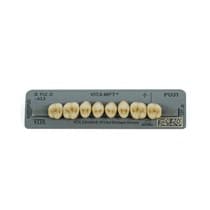 Dente MFT Posterior Superior - Vita
